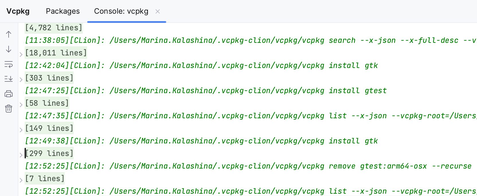 Vcpkg Console tab Vcpkg Console tab