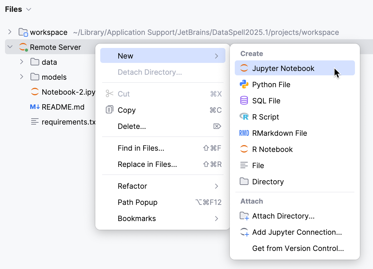 Add a remote server file
