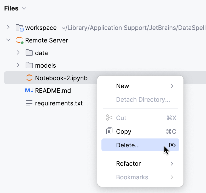 Delete remote server file
