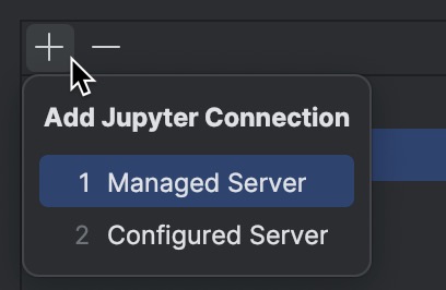 Manage Jupyter notebook servers | IntelliJ IDEA Documentation