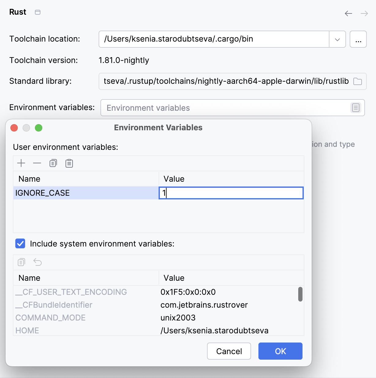Add an environment variable