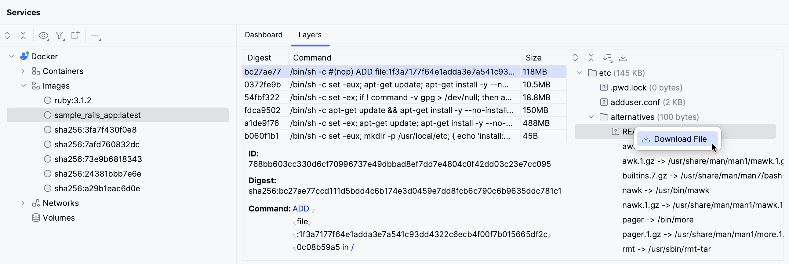 Open a file from a Docker layer Open a file from a Docker layer