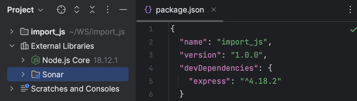 A custom library is shown under the external Libraries node
