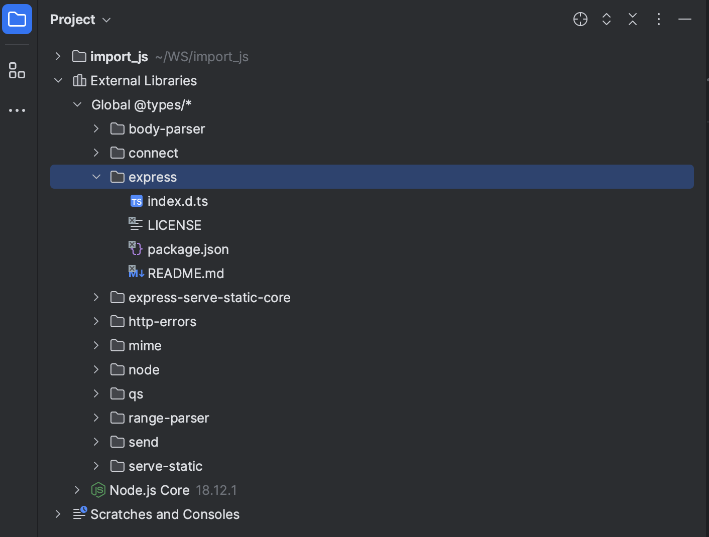 Downloaded type definitions are shown under the External libraries node