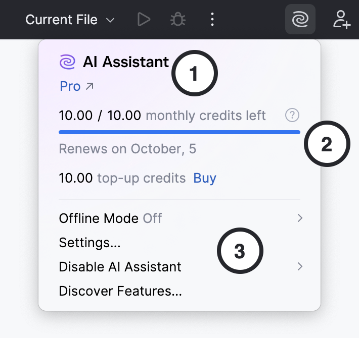 JetBrains AI key settings JetBrains AI key settings