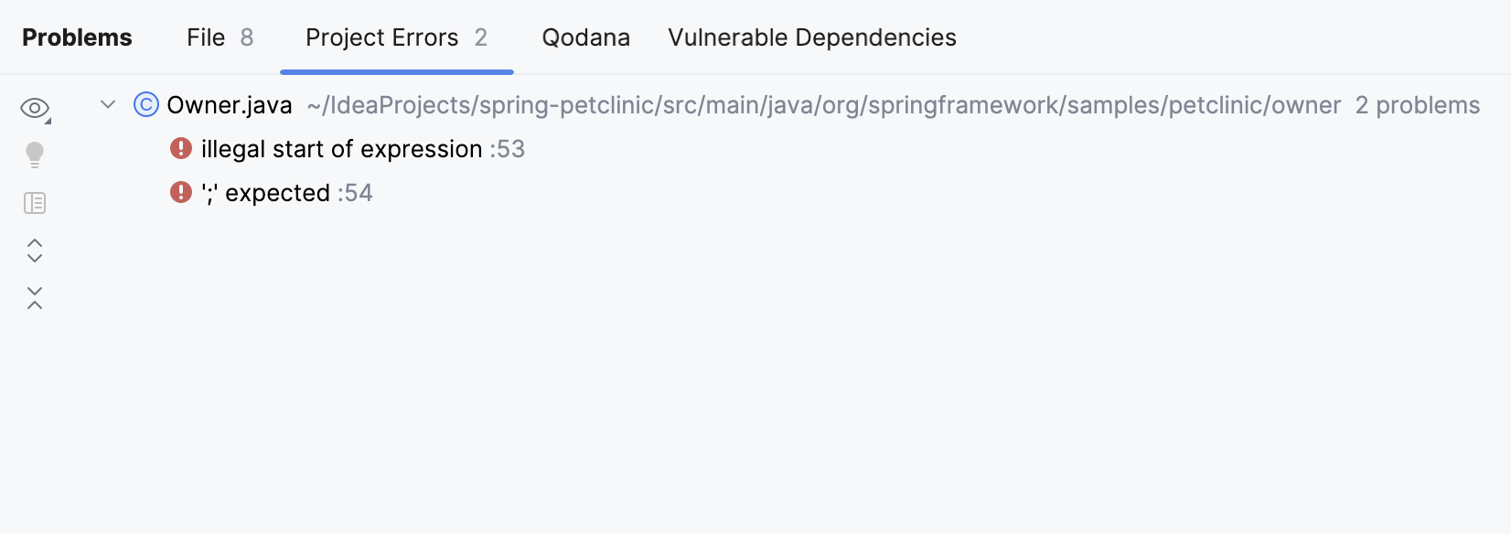Project Errors tab