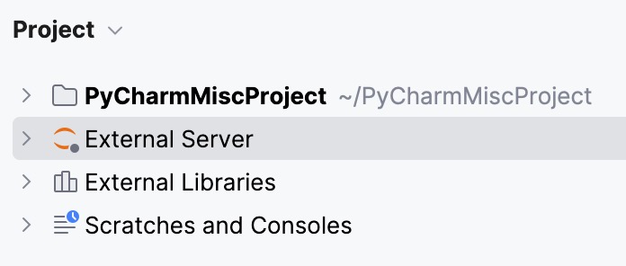 Remote server in the Project View panel