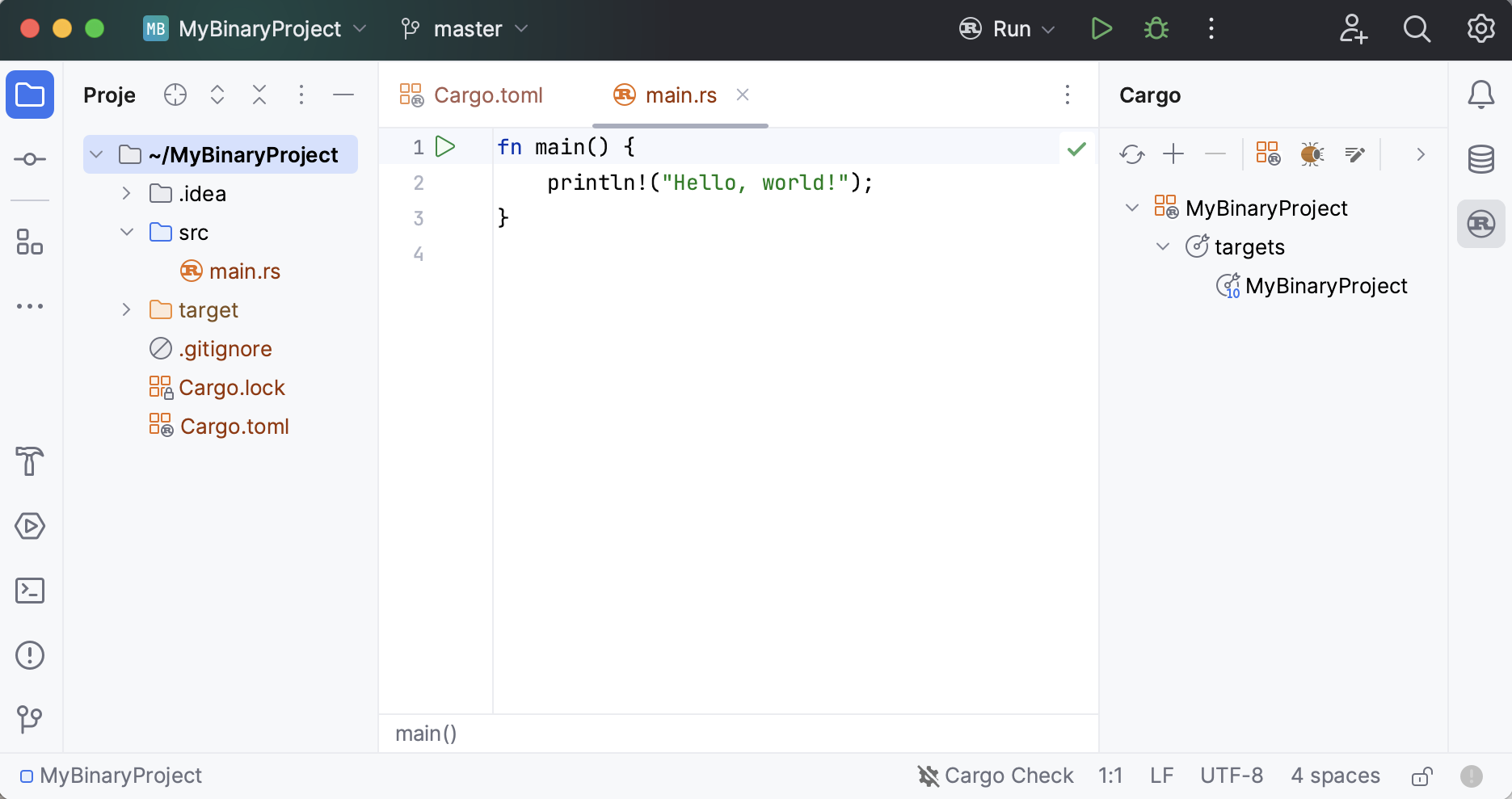 New binary application project layout