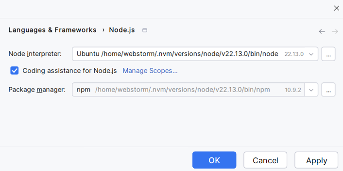 The newly configured Node.js interpreter is added to the list and set as default for the current project