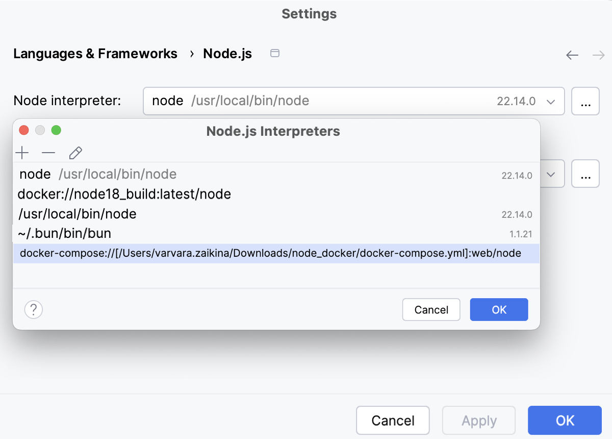 Remote Interpreters dialog: the new Node.js interpreter in Docker added to the list