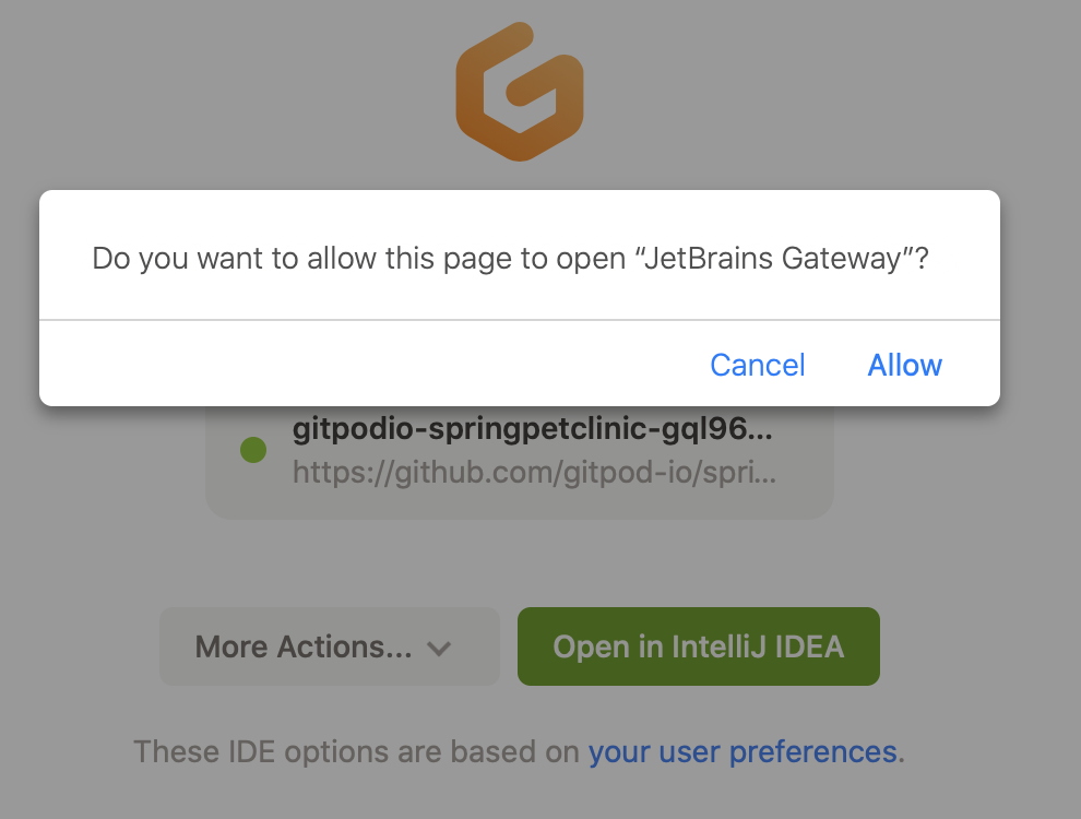 Open JetBrains Gateway in a browser Open JetBrains Gateway in a browser