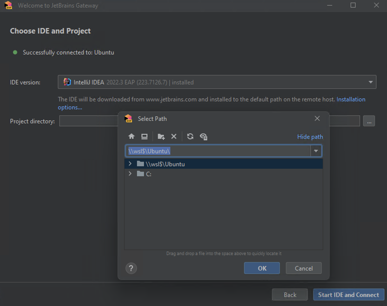 Choose the IDE version and a project Choose the IDE version and a project