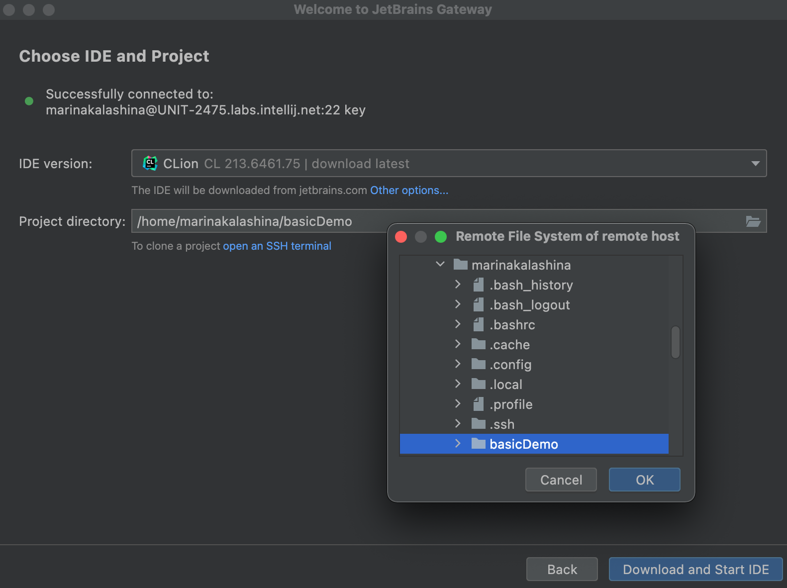 Path to remote project Path to remote project