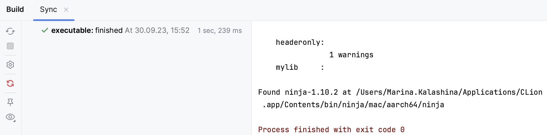 Meson project loaded Meson project loaded