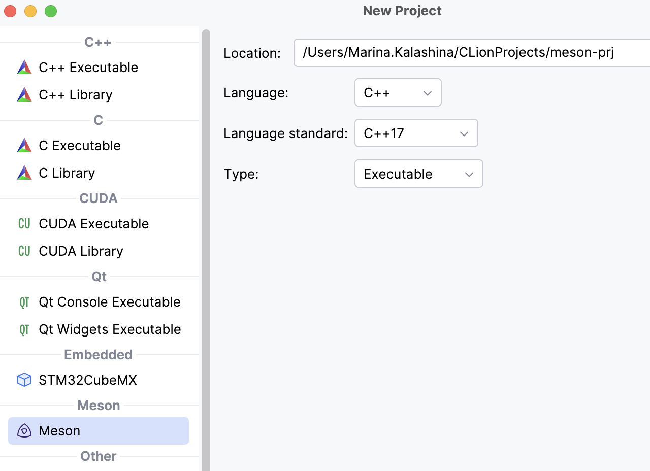 Meson project wizard Meson project wizard