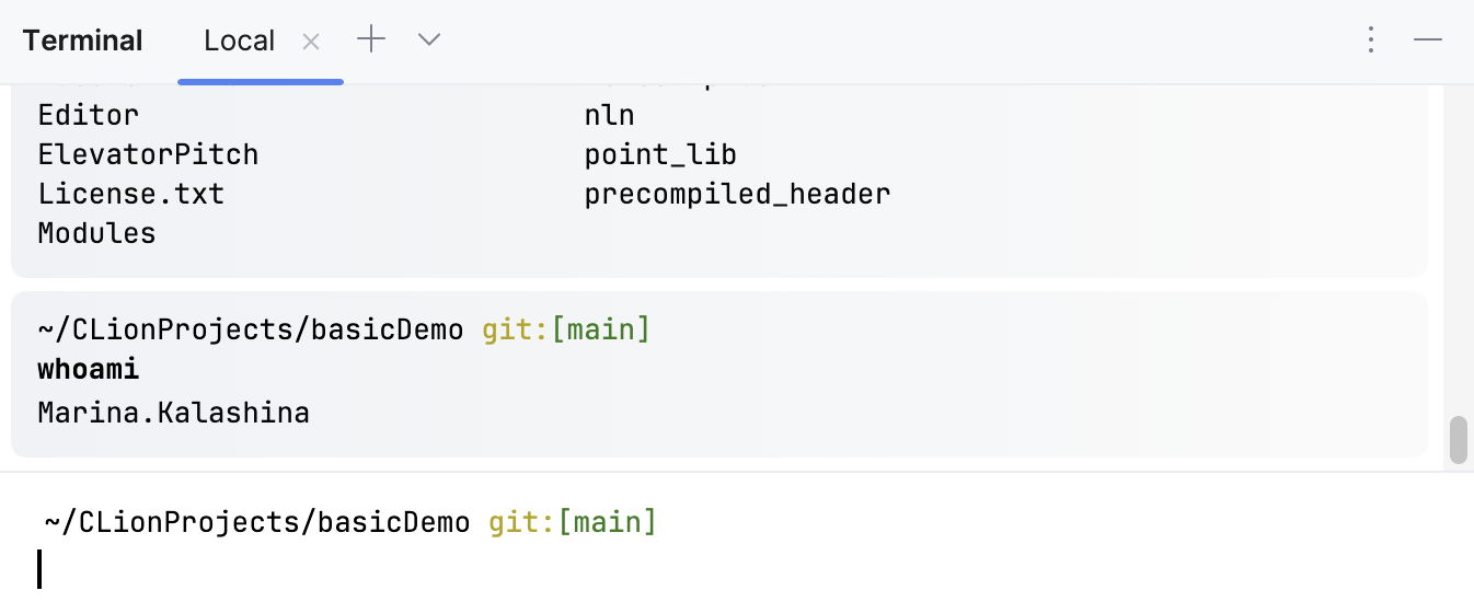 New session in the terminal New session in the terminal