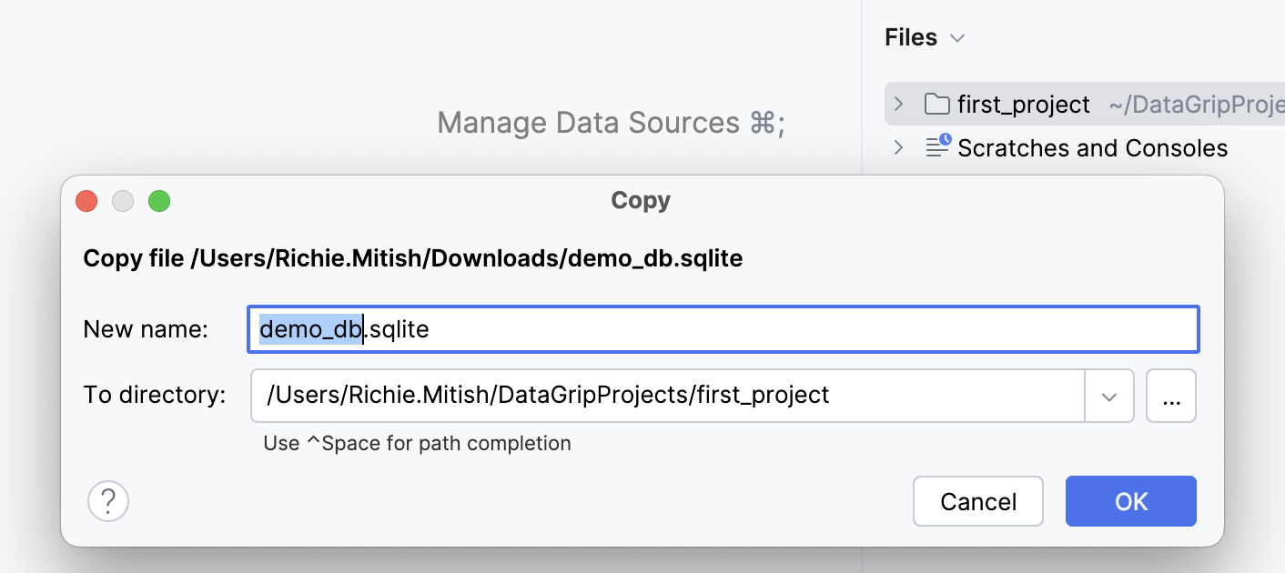 Paste the database file to the Files tool window