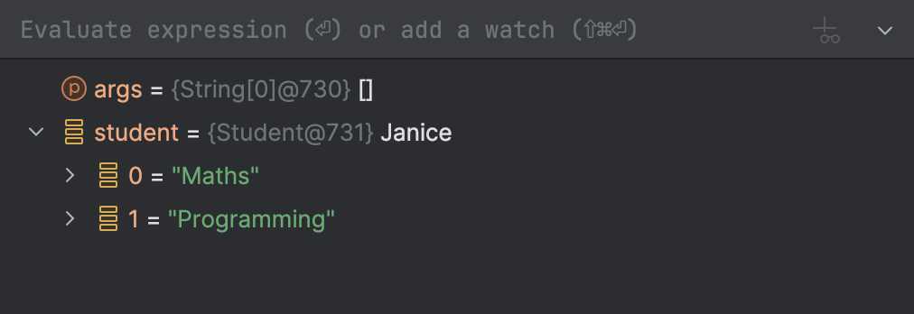 A user defined object displayed as one of its fields in the Variables tab