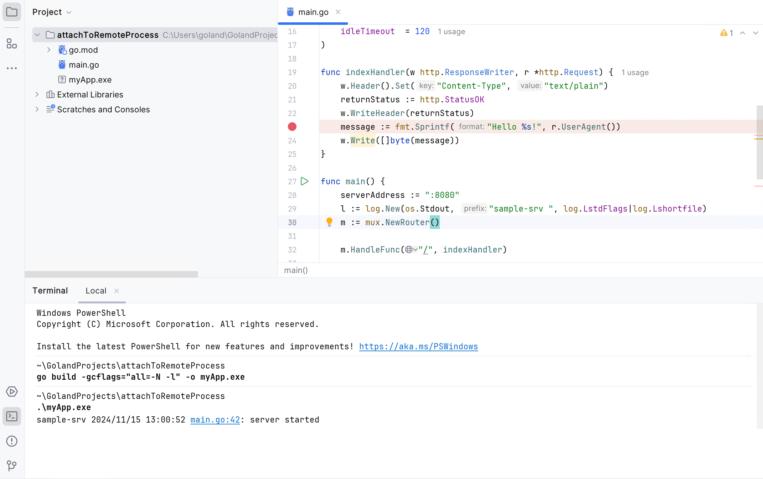 使用 gcflags 标志构建应用程序 使用 gcflags 标志构建应用程序