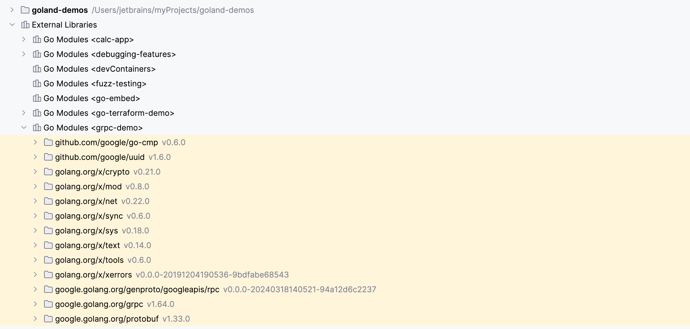 Go Module is shown in a dimmed font color Go Module is shown in a dimmed font color