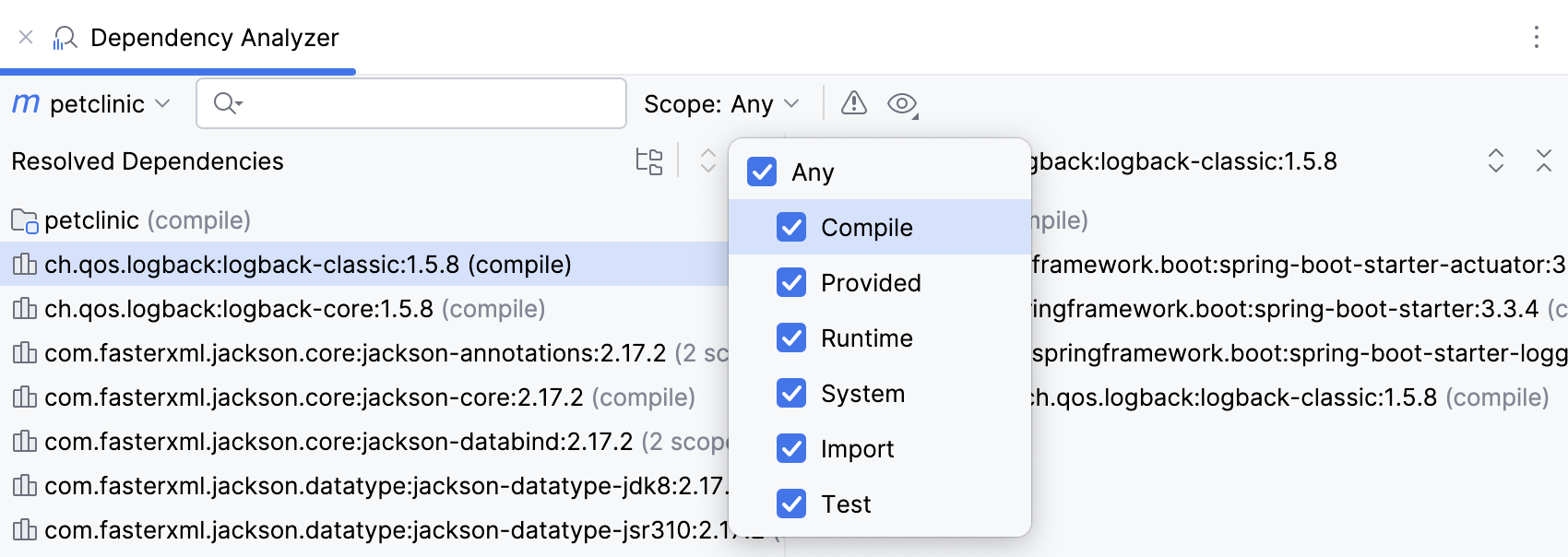 Dependency analyzer: dependency scope Dependency analyzer: dependency scope