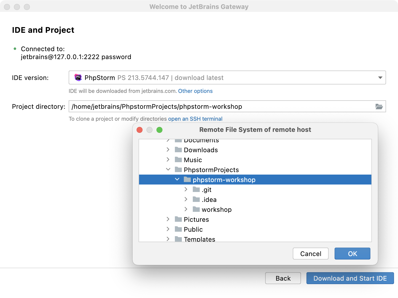 远程项目路径 远程项目路径