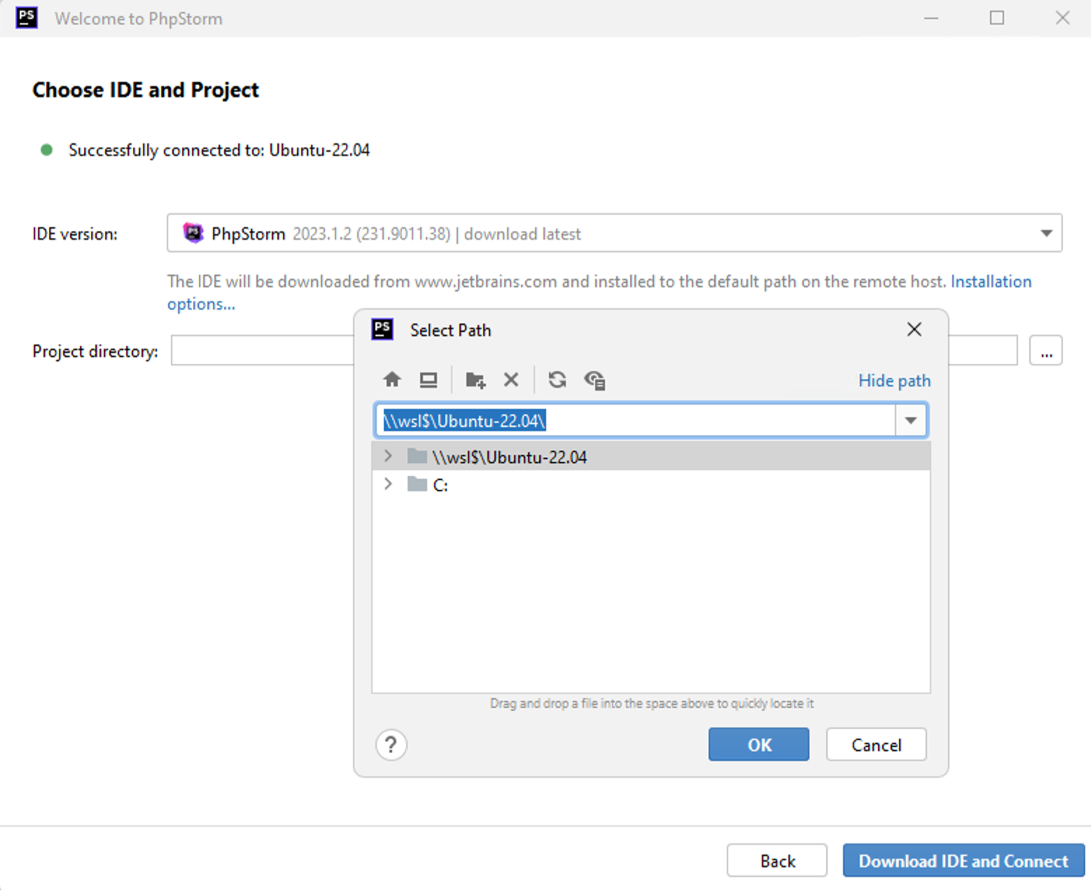 选择 IDE 版本和项目 选择 IDE 版本和项目