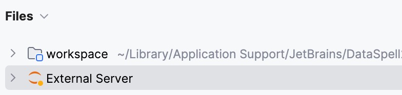 Remote server in the Project View panel