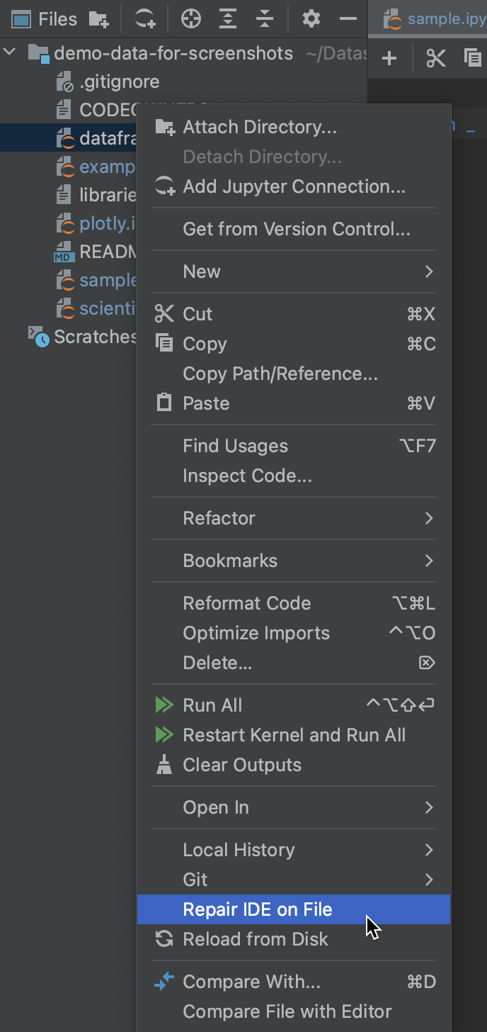 Repair IDE | DataSpell Documentation