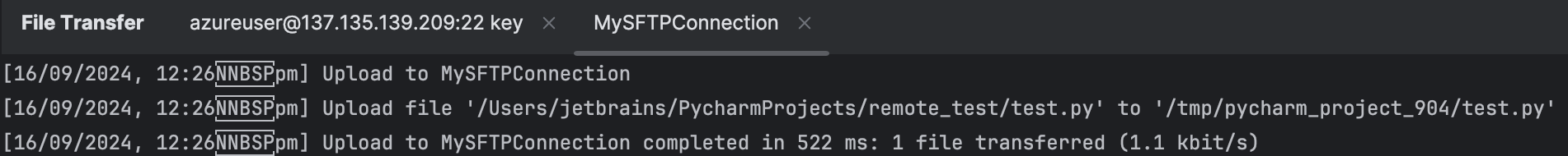 使用 PyCharm 进行远程调试 | PyCharm 文档