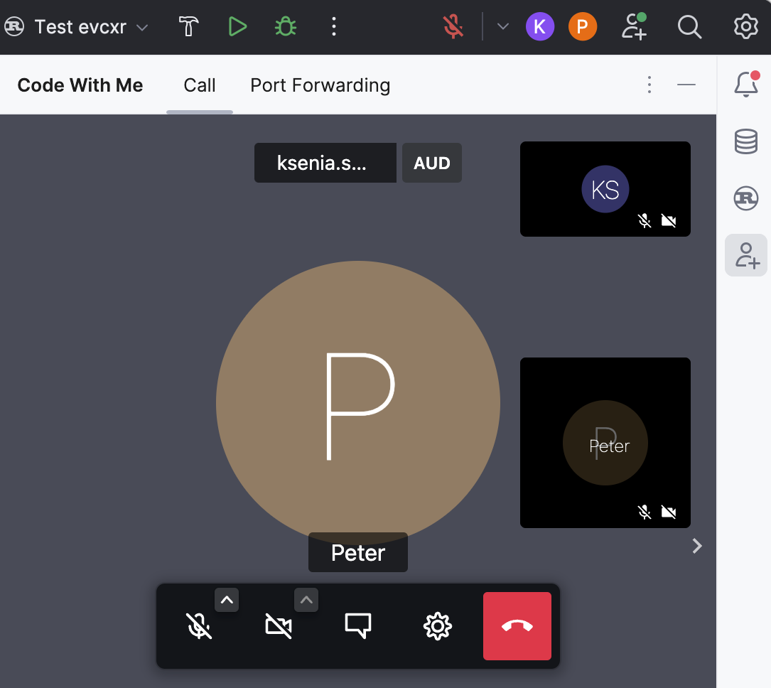 the Code With Me tool window the Code With Me tool window