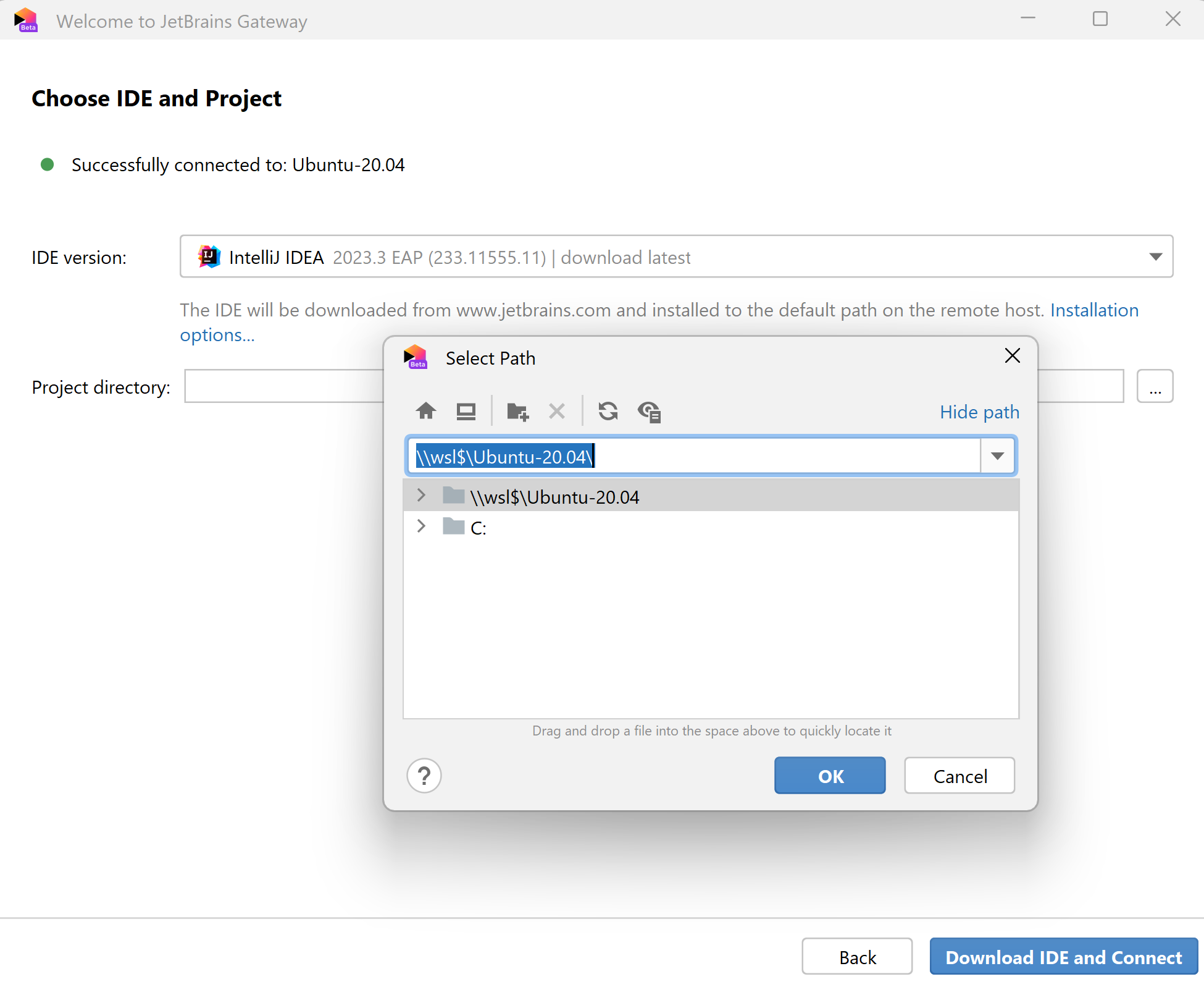 Choose the IDE version and a project Choose the IDE version and a project