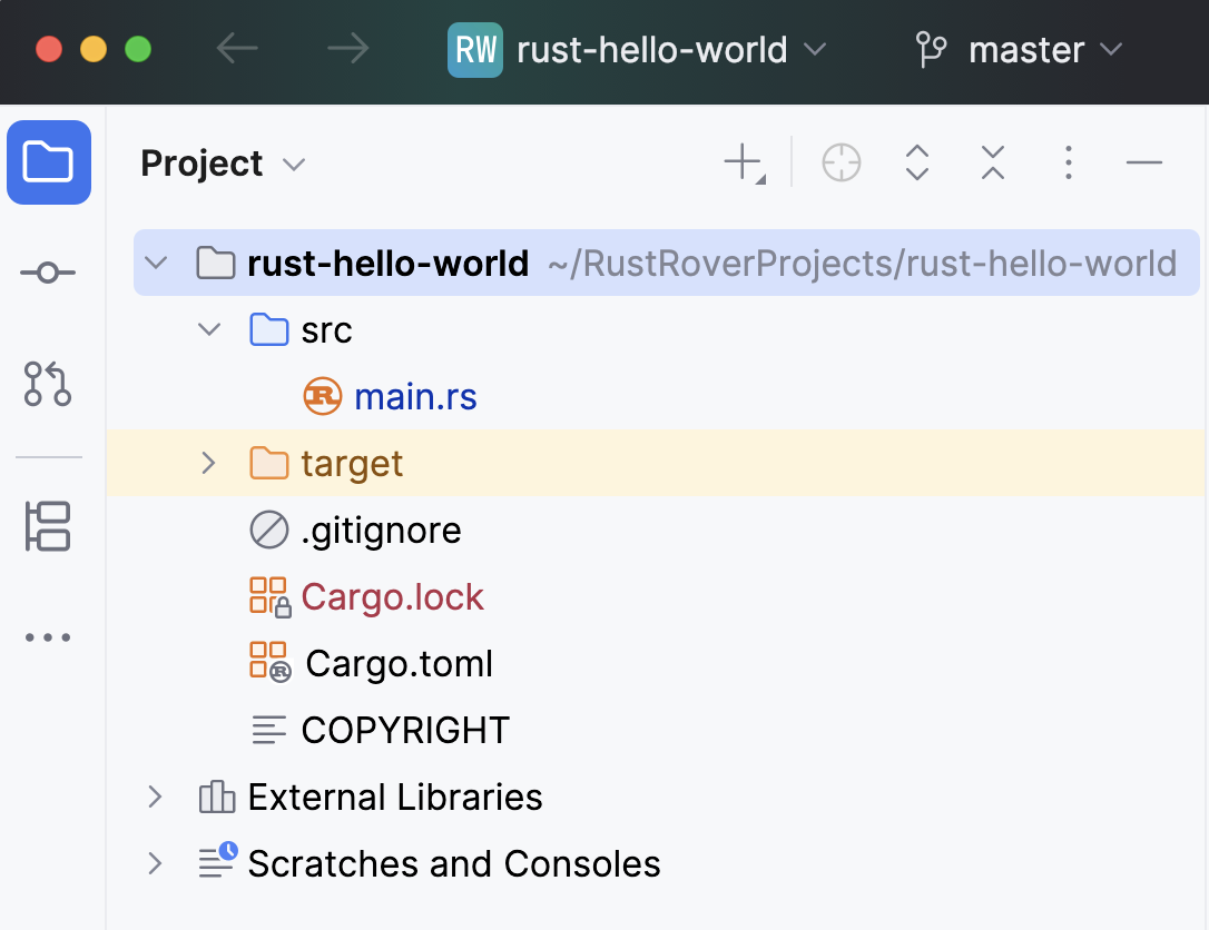 the Project tool window the Project tool window