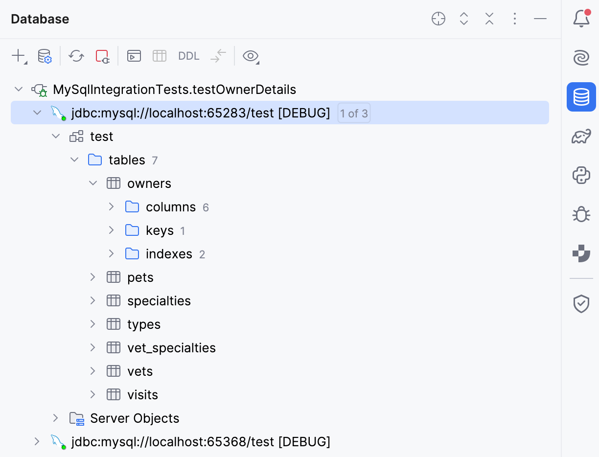 The Database tool window shows a database running on a random port The Database tool window shows a database running on a random port