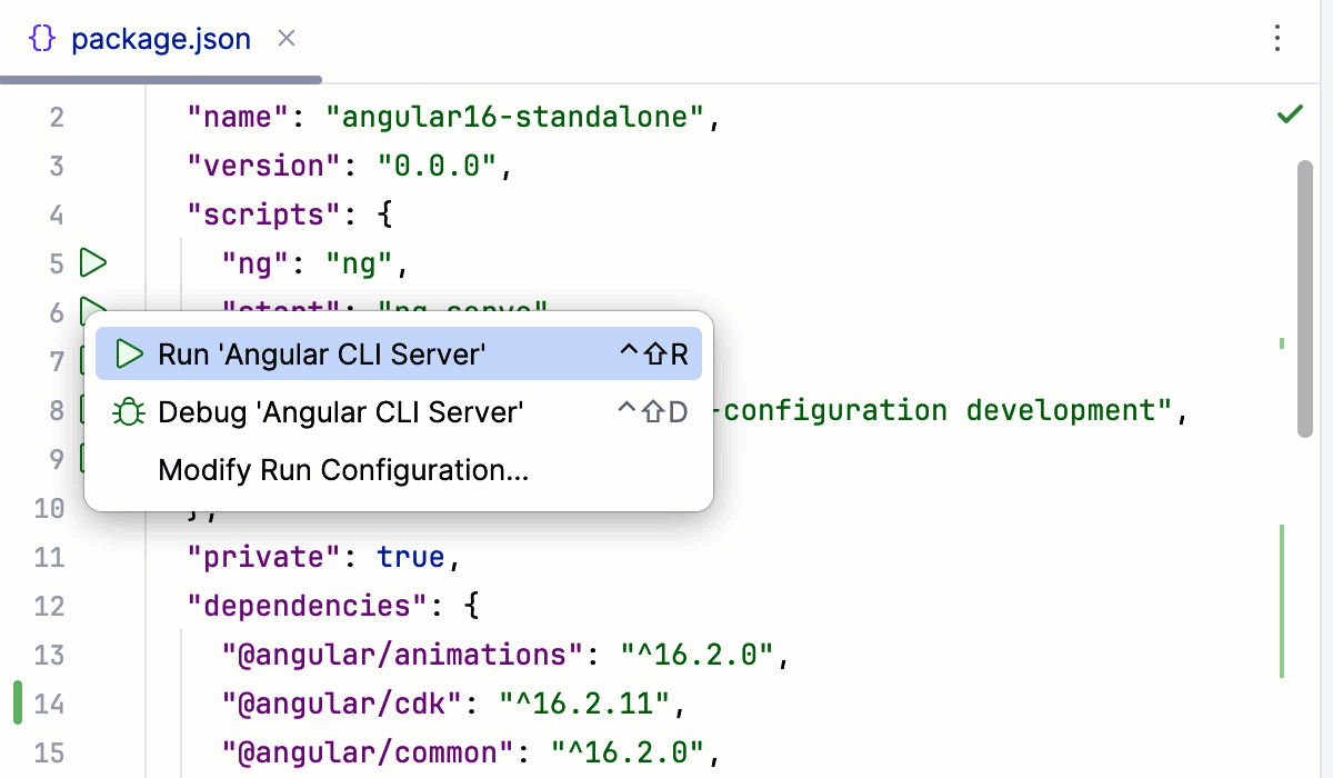 在 development mode 中从 package.json 运行 Angular 应用