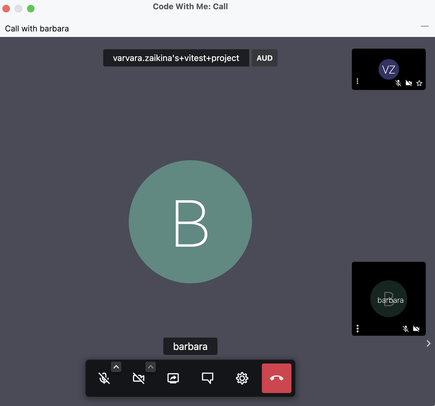 Code With Me tool window Code With Me tool window
