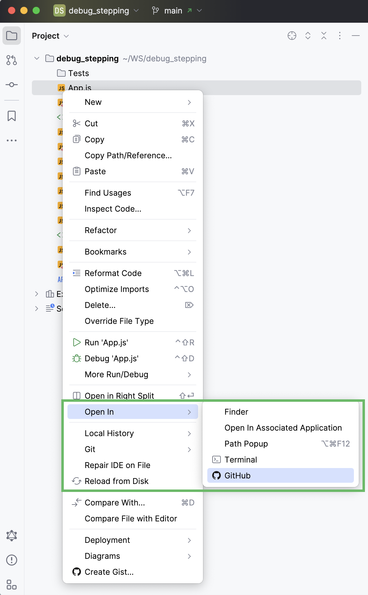 Opening the GitHub version of the file Opening the GitHub version of the file