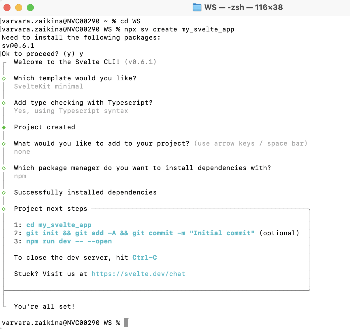 Svelte: project generation wizard Svelte: project generation wizard