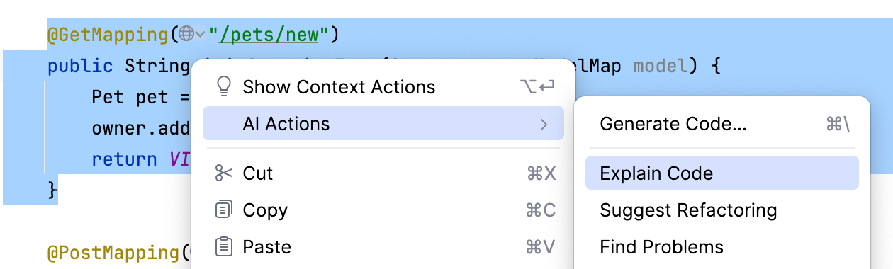 AI&nbsp;Assistant actions - Explain Code