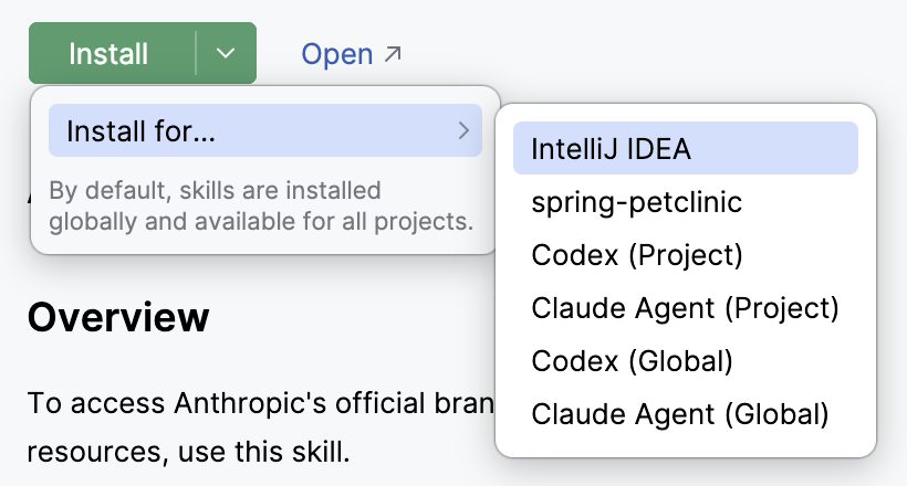 Skill installation options
