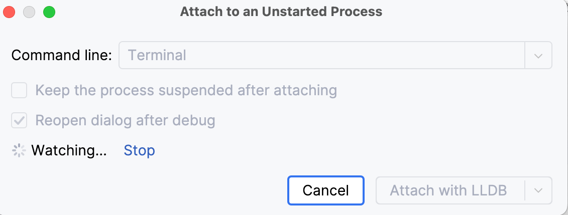 CLion awaits the indicated process
