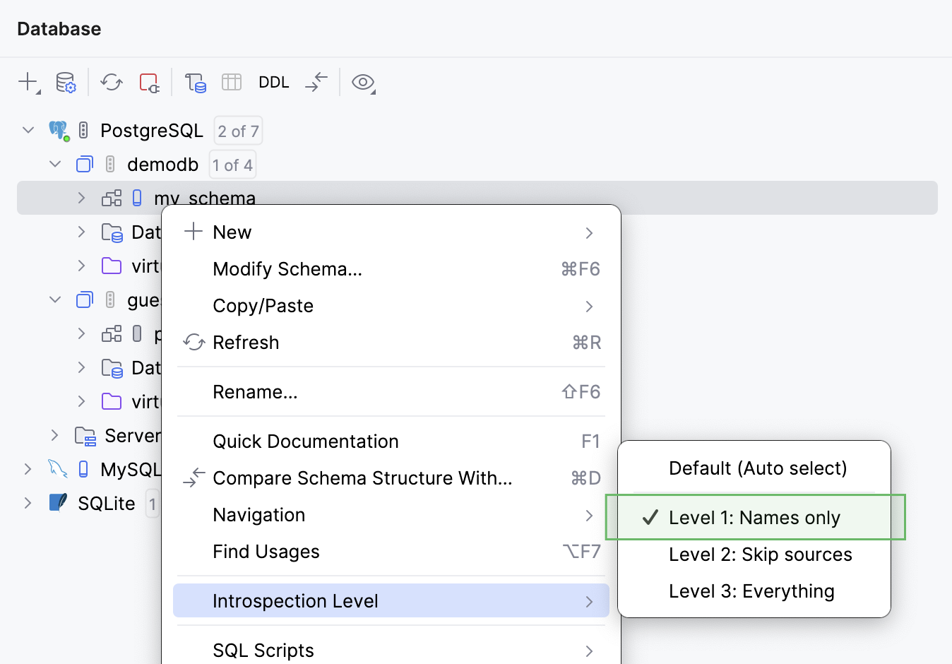 The introspection level selected currently for a database schema The introspection level selected currently for a database schema