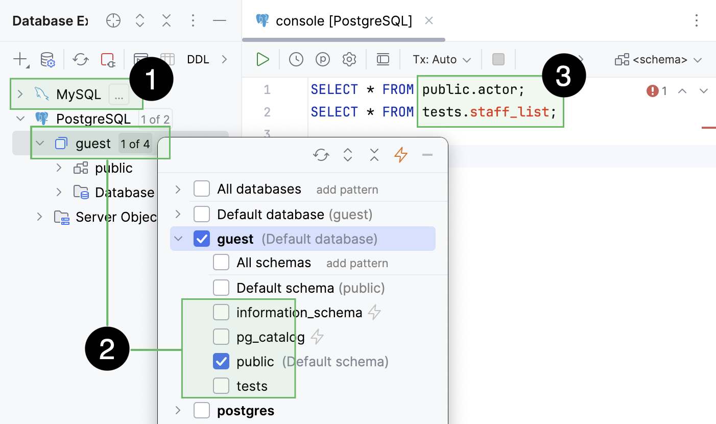 Database objects resolve for the introspected and not introspected schemas