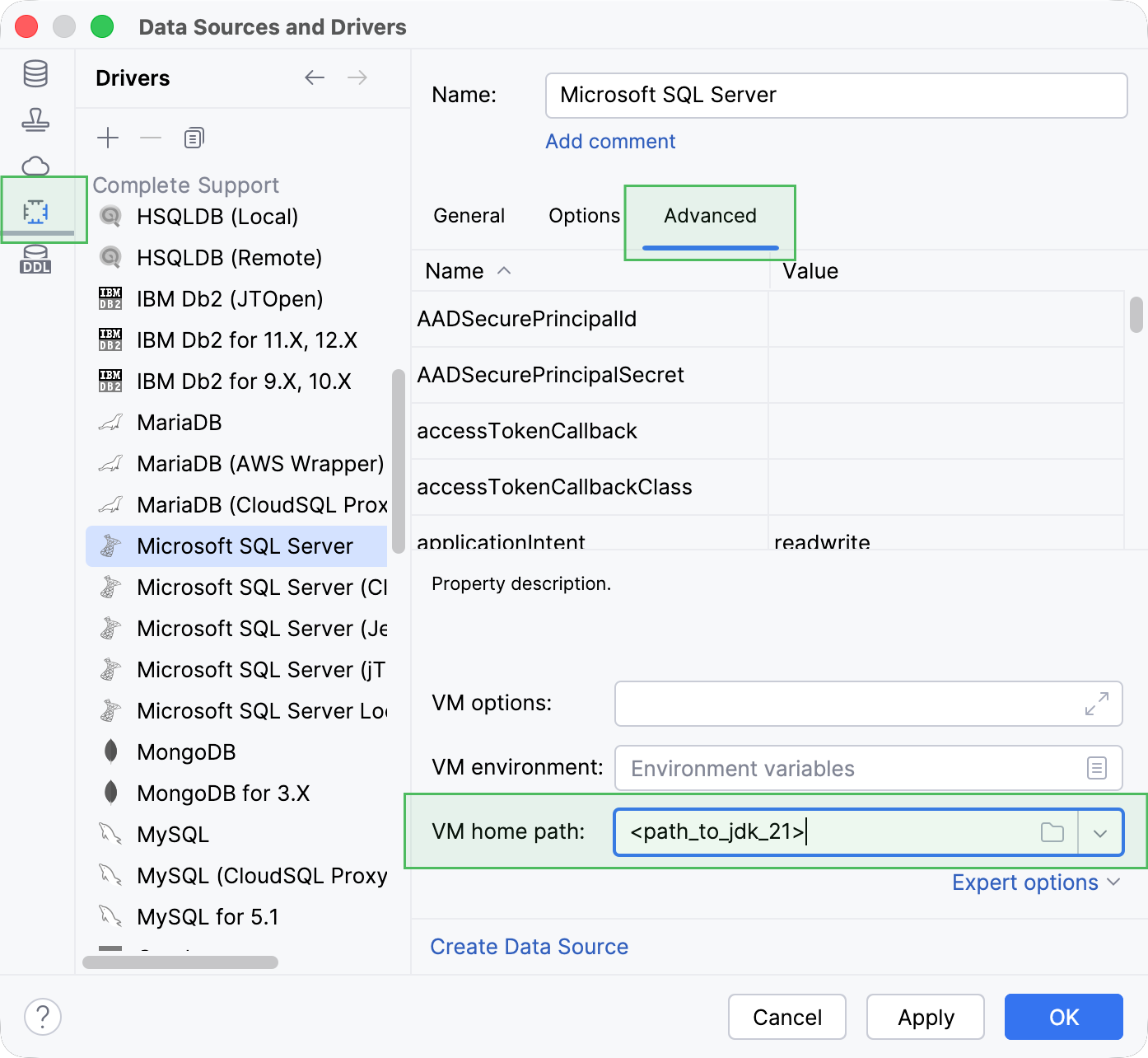 Specify the path to JDK 21 on your machine