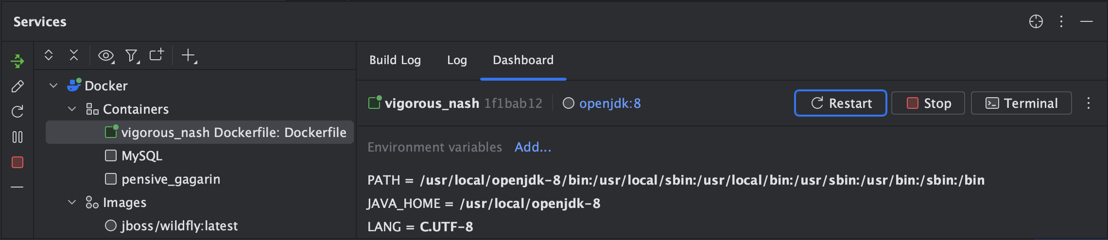 Docker containers | IntelliJ IDEA Documentation