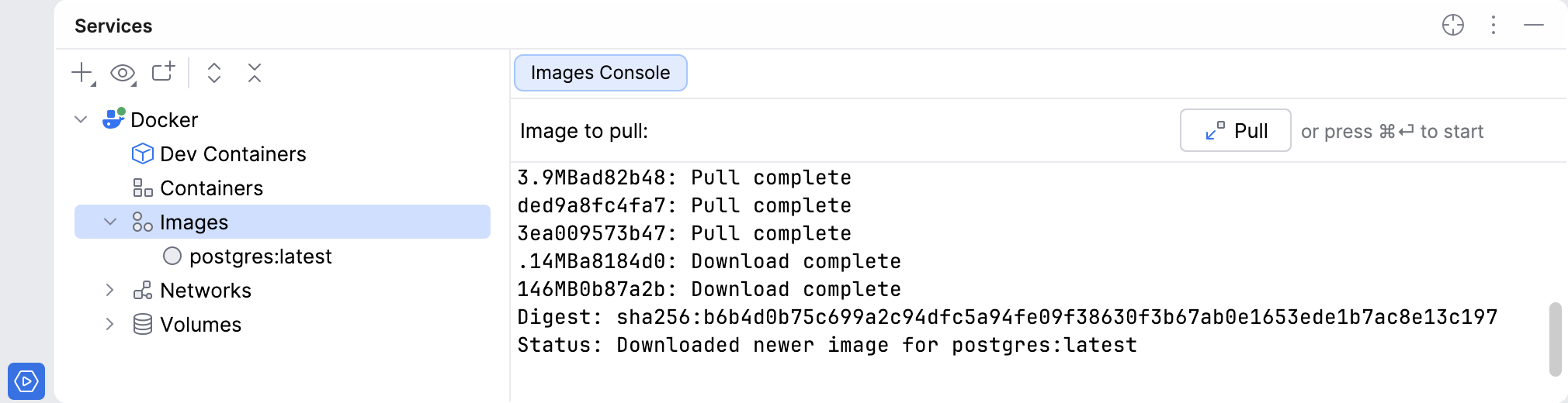 The Docker image was pulled
