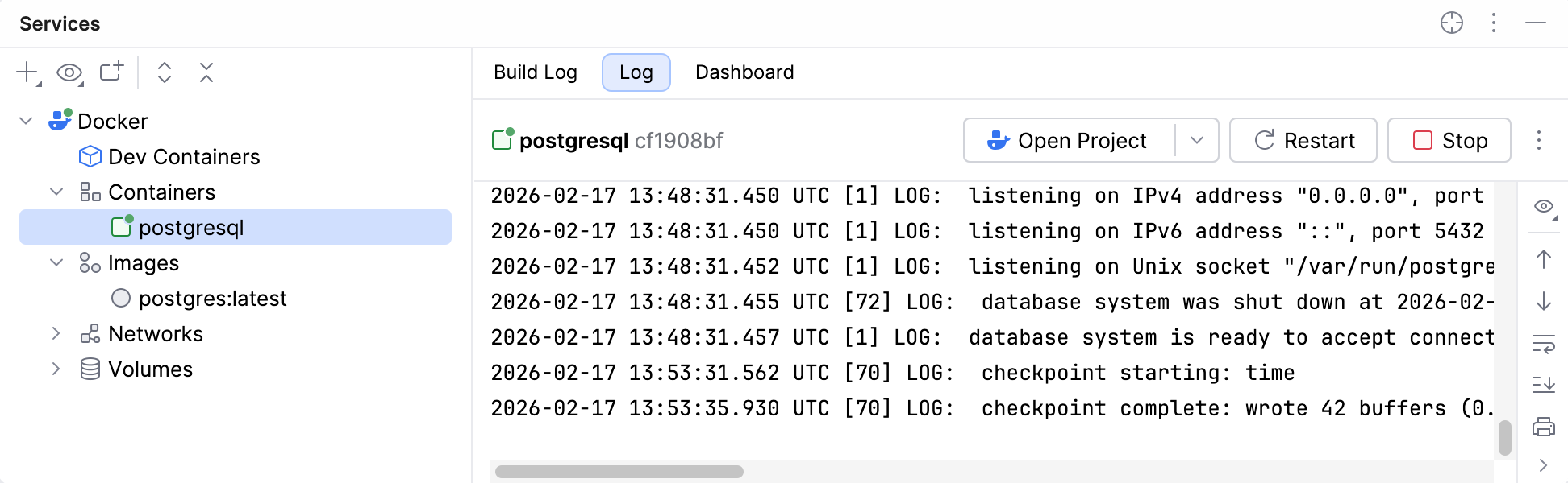 Running the created Docker container