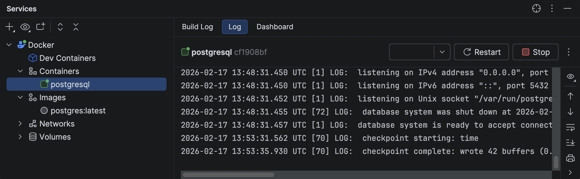 Run a database in a Docker container | GoLand Documentation