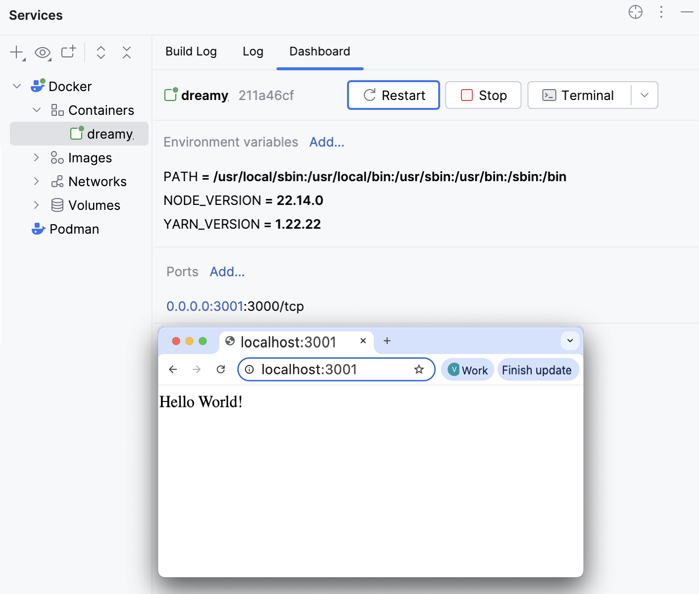 Ports bound, the application is opened in the browser at 3001