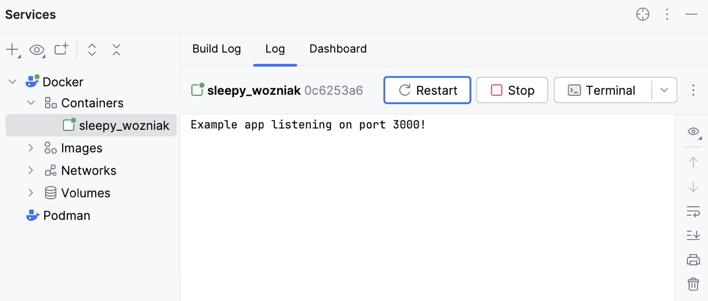 Services tool window, Log tab